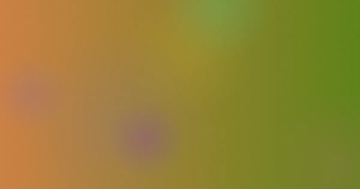 欧美黑吊值得吗？6问讲透